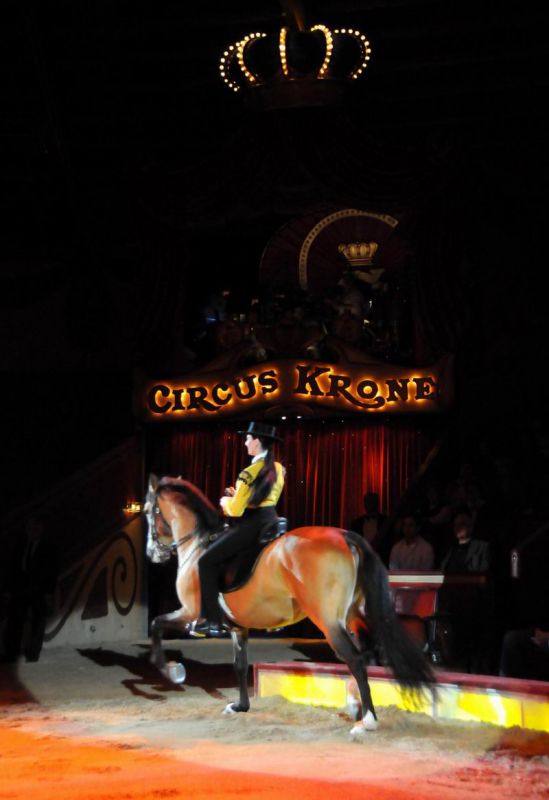 2011_03_01_04205.jpg
