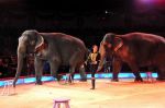 2011_03_01_01129.jpg