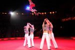 2011_03_01_01730.jpg