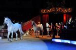 2011_03_01_02163.jpg