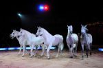 2011_03_01_02235.jpg