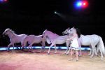 2011_03_01_02302.jpg