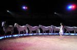 2011_03_01_02317.jpg