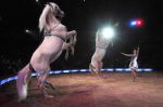 2011_03_01_02340.jpg
