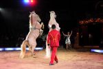 2011_03_01_02352.jpg