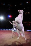 2011_03_01_02376.jpg