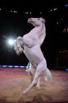 2011_03_01_02378.jpg