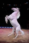 2011_03_01_02379.jpg