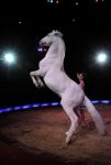 2011_03_01_02384.jpg
