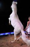 2011_03_01_02386.jpg
