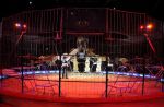 2011_03_01_02776.jpg