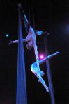 2011_03_01_03458.jpg