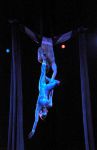 2011_03_01_03468.jpg
