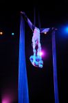 2011_03_01_03481.jpg