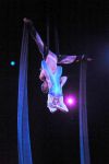 2011_03_01_03487.jpg