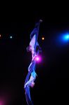2011_03_01_03557.jpg