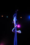 2011_03_01_03560.jpg