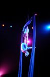 2011_03_01_03574.jpg