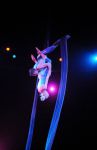 2011_03_01_03575.jpg