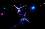 2011_03_01_03627.jpg