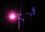 2011_03_01_03639.jpg