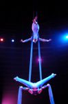 2011_03_01_03718.jpg