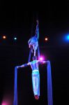 2011_03_01_03738.jpg