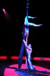 2011_03_01_03839.jpg