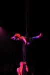 2011_03_01_03865.jpg