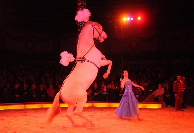 2011_12_25__05768.jpg