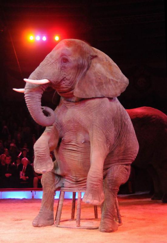 2011_12_25__07580.jpg