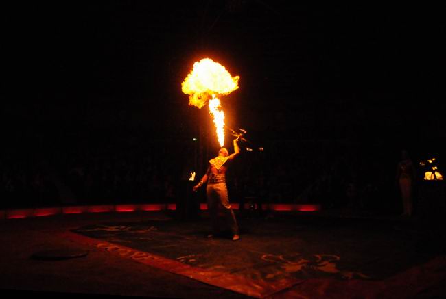 2011_12_25__07951.jpg