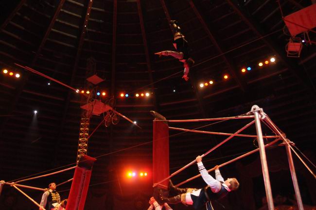 2011_12_25__08177.jpg