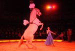 2011_12_25__05768.jpg