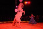 2011_12_25__05770.jpg