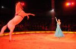 2011_12_25__05784.jpg