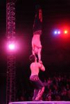 2011_12_25__06068.jpg