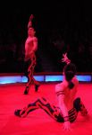 2011_12_25__06261.jpg