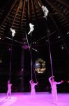 2011_12_25__06354.jpg
