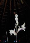 2011_12_25__06418.jpg