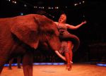 2011_12_25__07447.jpg