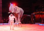 2011_12_25__07530.jpg