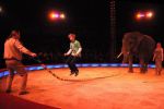 2011_12_25__07630.jpg