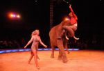 2011_12_25__07638.jpg