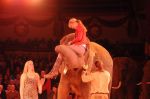 2011_12_25__07647.jpg