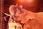 2011_12_25__07715.jpg