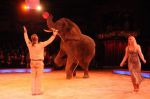 2011_12_25__07761.jpg