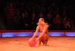 2011_12_25__07782.jpg