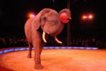 2011_12_25__07787.jpg