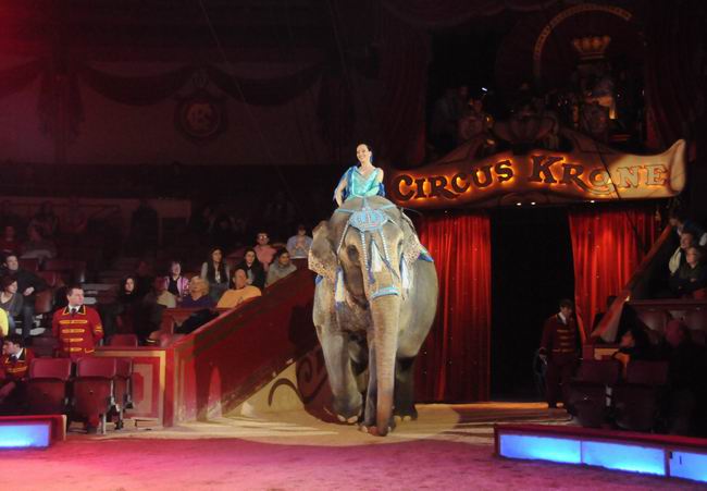2012_02_01__00959.jpg